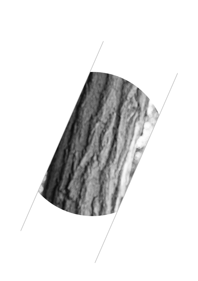 xamin-healthe-b8-11.png